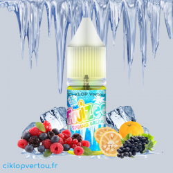 E-liquide Spring Break 10ml - Fruizee - ciklopvertou.fr cigarette électronique 44