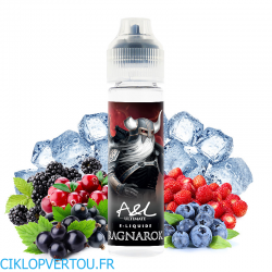 Ragnarok E-liquide 50ml - Ultimate A&L - ciklopvertou.fr cigarette électronique 44